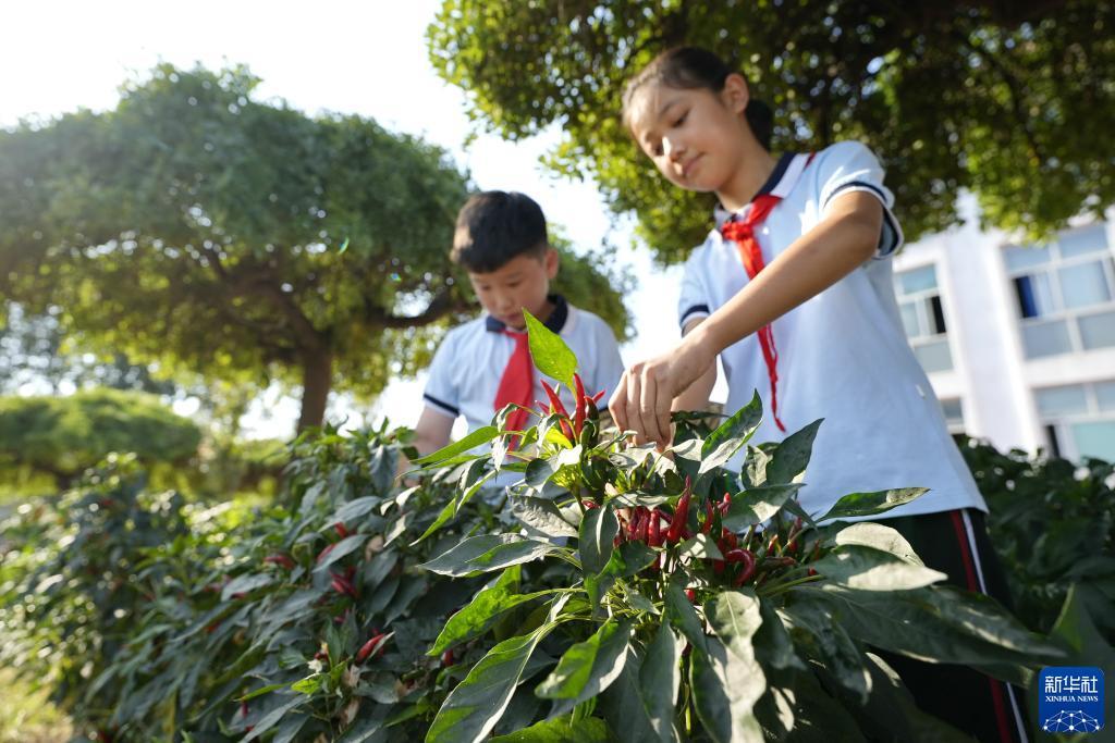 巴黎人十大菠菜
